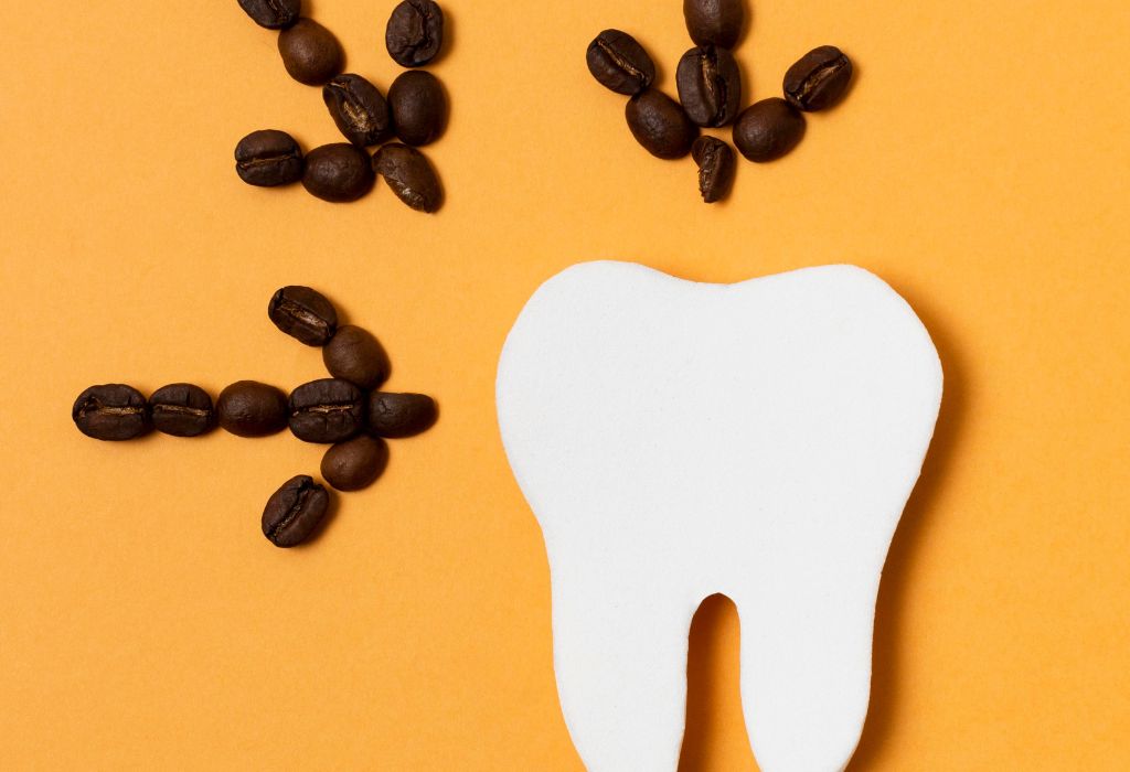 ¿Qué es un molar y cuál es su función?